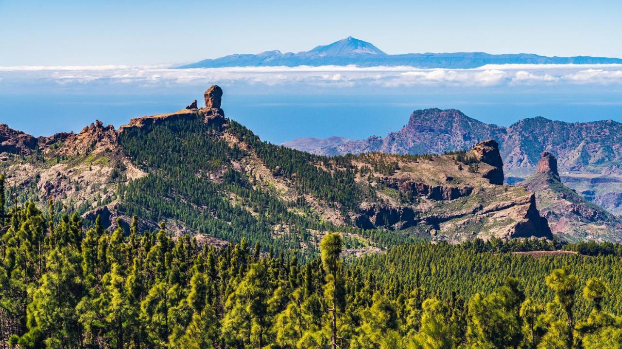 Julia'S Sweet Home Mesa Y Lopez Las Palmas de Gran Canaria Ngoại thất bức ảnh